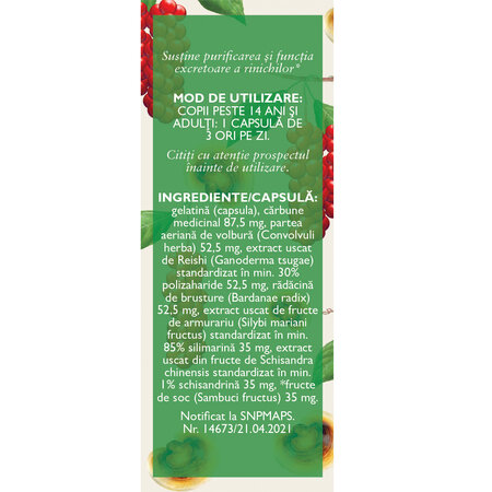 Detoxifiant cu Ganoderma, 60 comprimate, Fares 721278