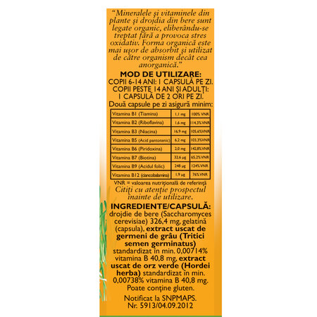 Vitamine naturale B Complex, 60 capsule, Fares 721492