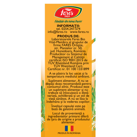 Vitamine naturale B Complex, 60 capsule, Fares 721493
