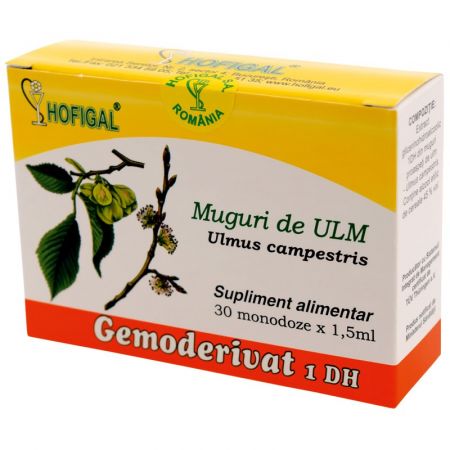 Muguri de Ulm Gemoderivat