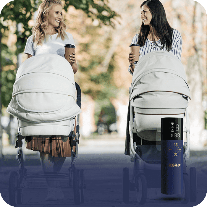 Carucior 2 in 1 pentru copii Samba