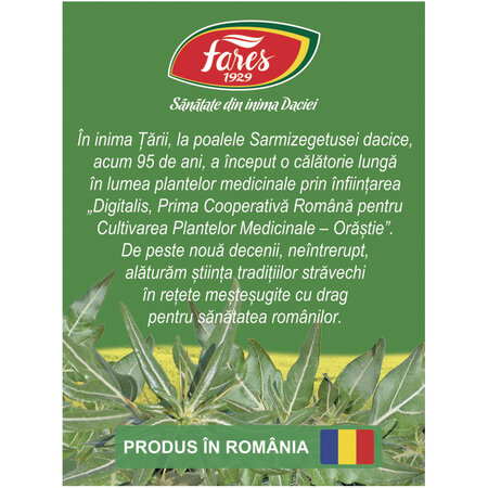 Ceai de ghimpe, 20 plicuri, Fares 721443