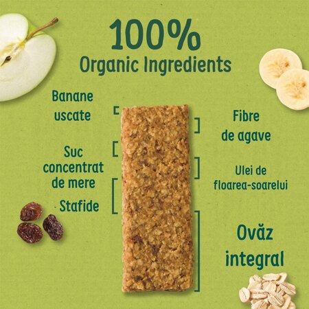 Batoane ecologice din ovaz integral cu banane, 12 luni+, 6 batoane x 23 g, Organix 824072