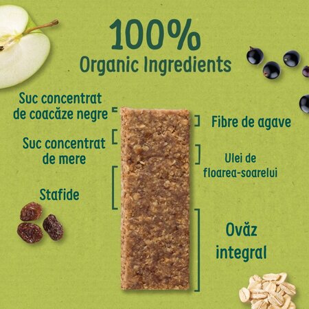 Baton ecologic din ovaz integral cu mere si coacaze negre, 12 luni+, 23 g, Organix 823045