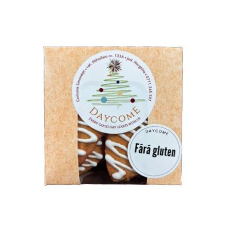 DAYCOME TURTA DULCE DE CRACIUN 160 GR