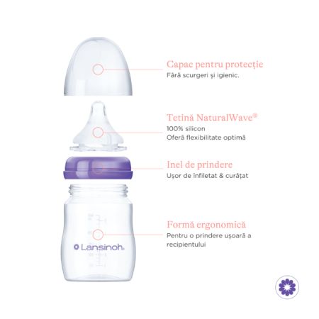 Pachet Biberon, + 1 luna, 2 bucati x 160 ml, Lansinoh 602031