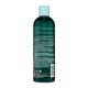 Sampon tonifiant cu ulei din arbore de ceai Tea Tree Oil, 355 ml, Hask 605937