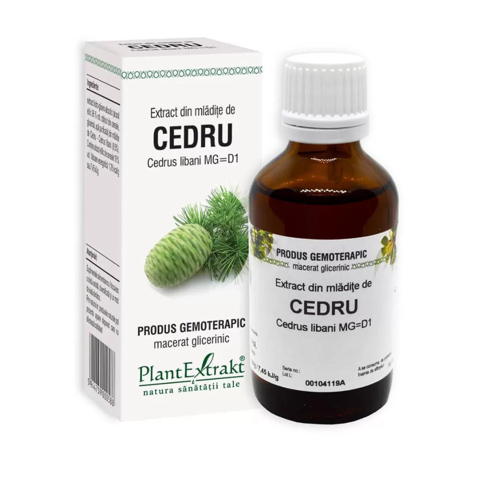 Extract de mladite Cedru, 50 ml, Plant Extrakt