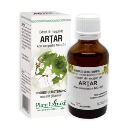 Extract din muguri de Artar, 50 ml, Plant Extrakt