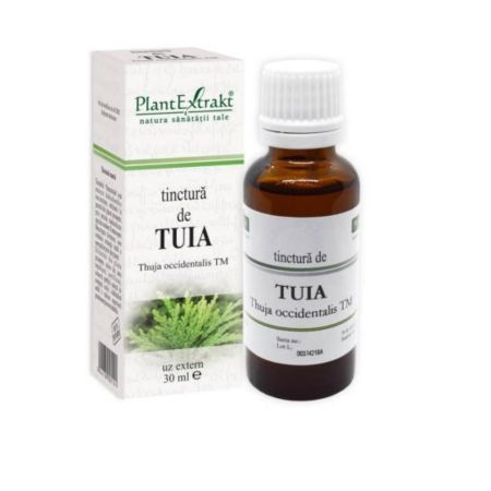 Tinctura de Tuia, 30 ml, Plant Extrakt