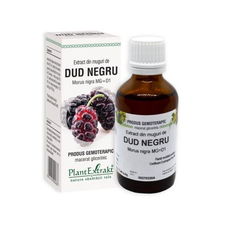 Extract din muguri de Dud negru, 50 ml, Plant Extrakt