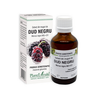 Extract din muguri de Dud negru, 50 ml, Plant Extrakt