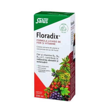 Formula lichida de fier si vitamine Floradix, 250 ml, Salus 610738