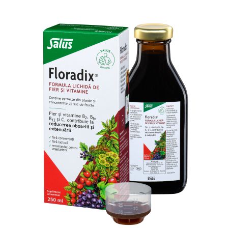 Formula lichida de fier si vitamine Floradix, 250 ml, Salus