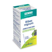 Extract din muguri de coacaz negru Ribes Nigrum Gemmo, 60 ml, Boiron