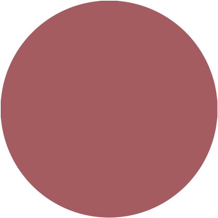 Ruj The Slim Stick, 104 Baby Got Blush, 1.7g, Essence 624056