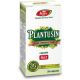 Plantusin Tuse Productiva, 30 capsule, Fares 723099