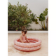 Piscina gonflabila pentru copii Ocean Dreams, 80 cm, Pink, +3 ani, Little Dutch 712393