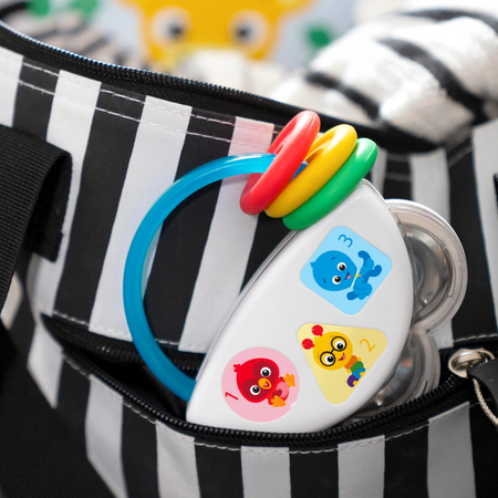 Jucarie muzicala cu zornaitoare Tiny Tambourine, + 6 luni, Baby Einstein 629004