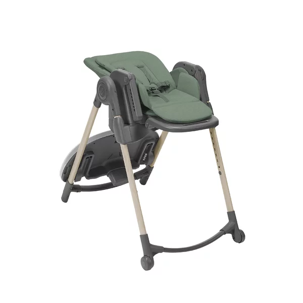 Carucior 2 in 1 pentru copii Samba