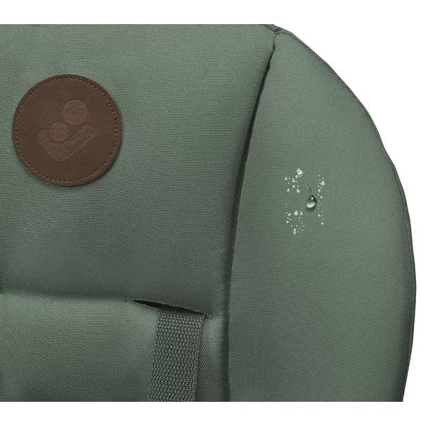 Carucior 2 in 1 pentru copii Samba