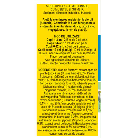 Sirop cu fructoza Alergoplant R36, 100 ml, Fares 723056