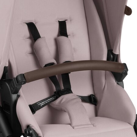 Carucior 2 in 1 Salsa 4 Air, Berry, Abc Design 650790