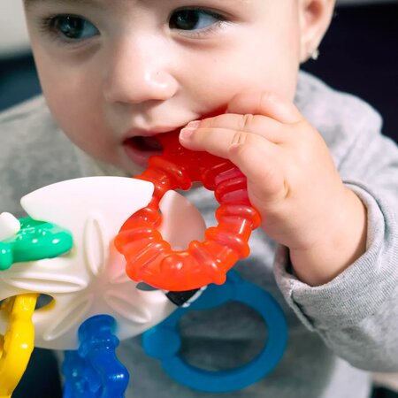 Jucarie pentru dentitie Sea of Sensory, 1 bucata, + 3 luni, Baby Einstein 631311