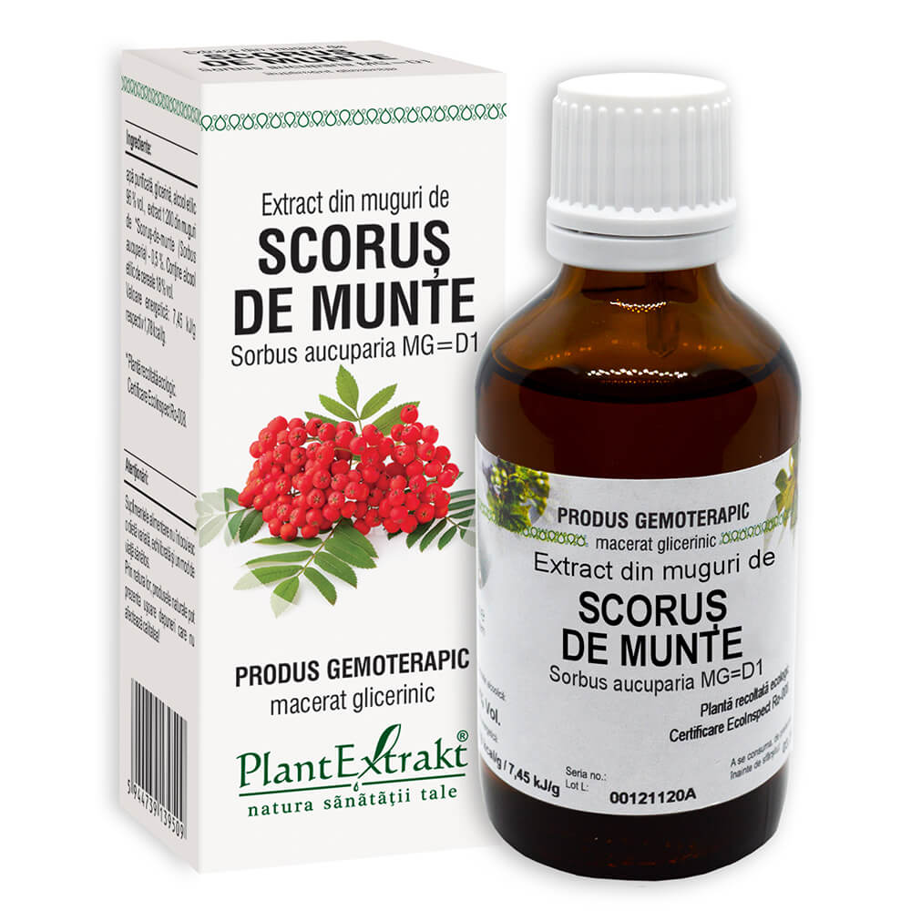 Extract din muguri de Scorus de munte, 50 ml, Plant Extrakt