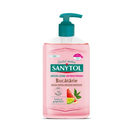 Sapun lichid antibacterian pentru bucatarie, 250 ml, Grapefruit si Lime, Sanytol