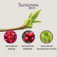 Menopauza Bio, 30 ml, Santarome 631663