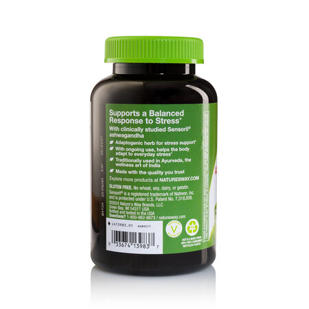 Ashwagandha Gummy, 125 mg, 90 bucati, Fructe de padure, Nature's Way 776326