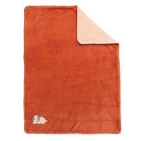 Paturica supersoft Catelusul Jim, 75x100 cm, Nattou
