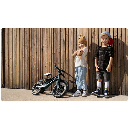 Bicicleta fara pedale Bart Air cu roti gonflabile, 2+ ani, Green Forest, Lionelo 632741