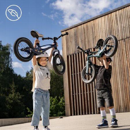 Bicicleta fara pedale Bart Air cu roti gonflabile, 2+ ani, Green Forest, Lionelo 632746