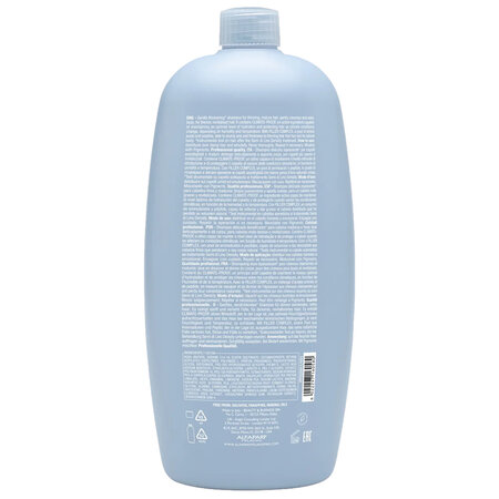 Sampon pentru par subtire si matur Density, 1000 ml, Alfaparf 632867