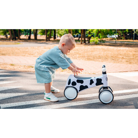 Bicicleta cu 4 roti din spuma EVA Sammy fara pedale, 12 - 36 luni, White, Lionelo 633100