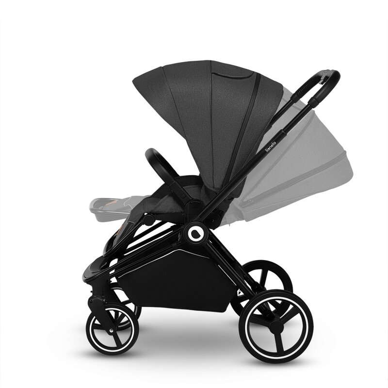 Carucior 2 in 1 pentru copii Samba