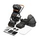 Carucior 2 in 1 Reversibil Amber, de la nastere pana la 22 kg, Grey Graphite, Lionelo 633968