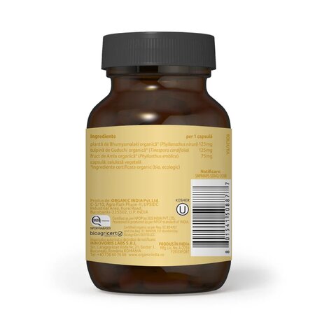Wt-Balance Metabolism Sanatos, 60 capsule, Organic India 686811