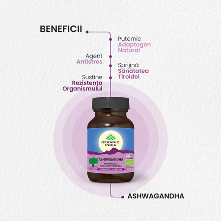 Ashwagandha, 60 capsule, Organic India 553282