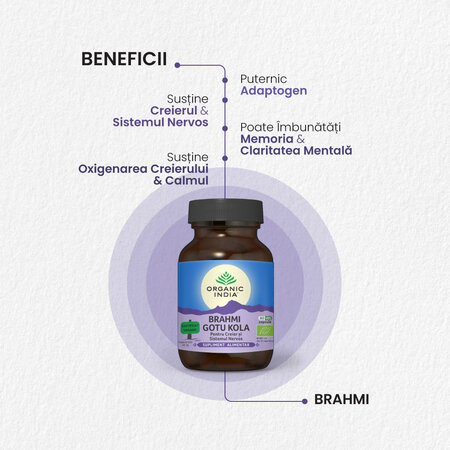 Brahmi Gotu Kola, 60 capsule, Organic India 553293