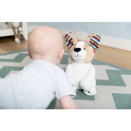 Jucarie de plus Catelusul Danny Peek a Boo, 0 luni+, Zazu Kids 637762