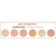 Pudra anti roseata cu SPF 50+ Vanish Compact Powder, nuanta 6, 10 g, Coverderm 640503