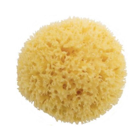 Burete natural de mare nr. 12, +0 luni, Bellini 