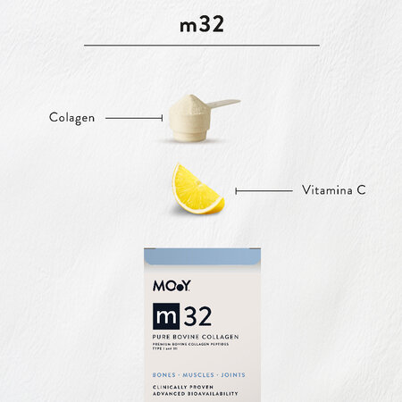 Colagen bovin pur cu vitamina C m32, 303 g, Molecules Of Youth 643516