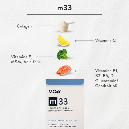 Colagen bovin articulatii m33, Zmeura, 390 g, Molecules Of Youth 643580