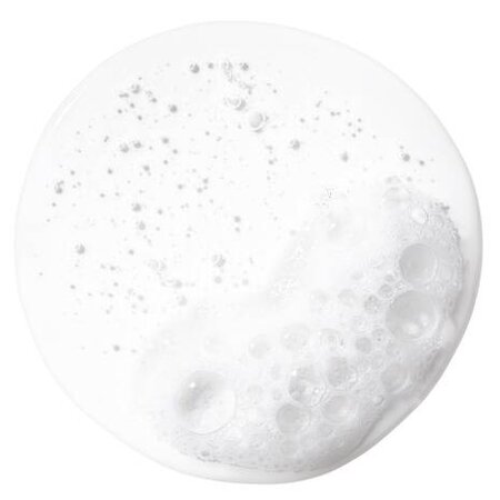 Sampon pentru toate tipurile de par Amino Acid Sampoo, 250 ml, Kiehl's 644331