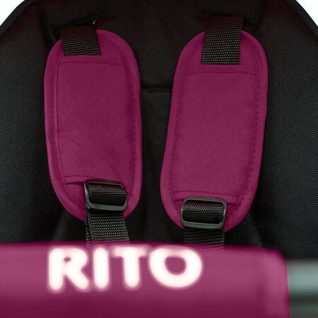 Tricicleta pliabila pentru copii Rito Plus, Violet, 12-36 luni, Qplay 502293