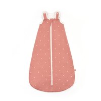 Sac de dormit Clasic, Rose Hearts, 0-6 luni, Ergobaby
